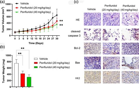 Retracted Penfluridol Triggers Mitochondrialmediated Apoptosis And