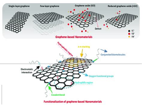 Scheme Schematic Illustration Of Graphene Based Nanomaterials And