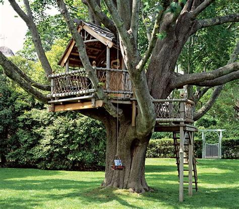 Cabane Dans Les Arbres Maison Dans Les