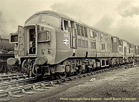 British Rail Diesel Locomotive Glasgow Salmon Motion North Photo Atlantic Salmon Trout