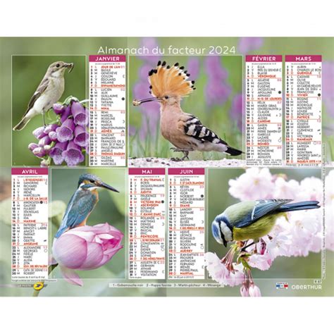 Almanach Calendrier Du Facteur Oiseaux Familiers Calendriers