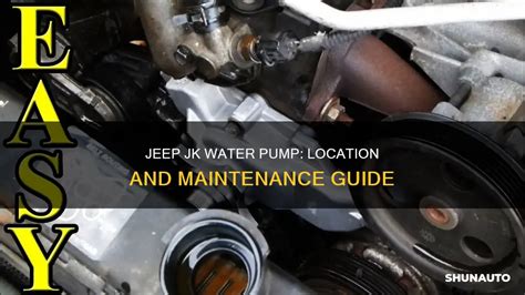 Jeep Jk Water Pump Location And Maintenance Guide Shunauto