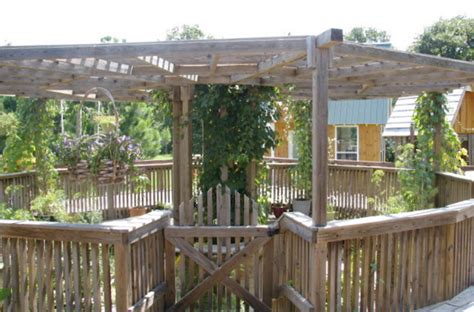 DIY Backyard Pergolas Are the Ultimate Family Backyard Project