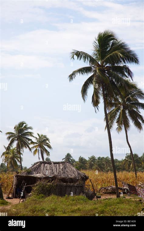 Cotonou Beach Hi Res Stock Photography And Images Alamy