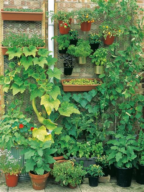 20+ Vertical Vegetable Garden Ideas