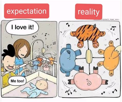 Expectation Vs Reality Meme By Schizoidman Memedroid