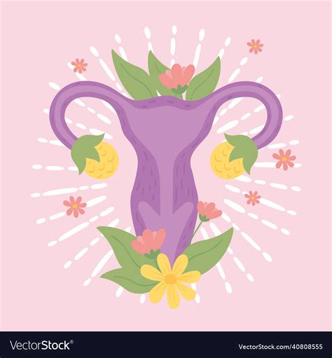 Uterus Body Part Royalty Free Vector Image Vectorstock