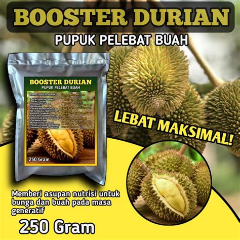 Jual Pupuk Booster Pelebat Buah Durian Nutrisi Untuk Bunga Dan Buah