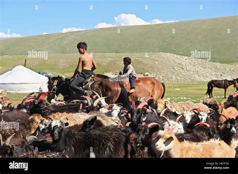 Estilo de vida mongol estilo de vida nómada en Mongolia Occidental