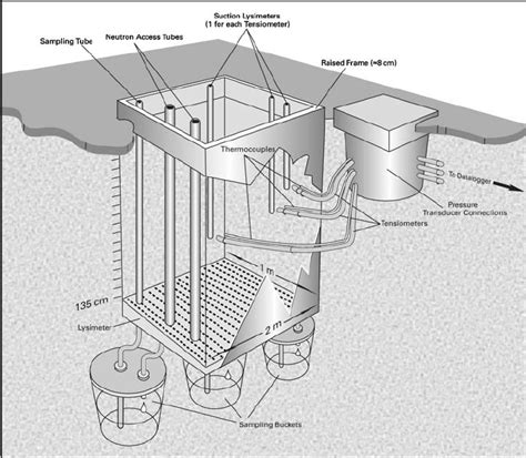 Design of in-situ study plot. | Download Scientific Diagram 