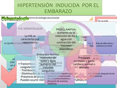 Trastornos Hipertensivos Durante El Embarazo Ppt