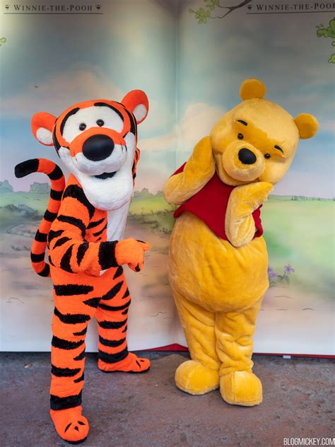 Winnie the Pooh & Friends Meet and Greet Returns to Magic Kingdom