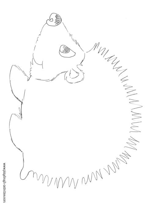 Hedgehog outline template, colouring picture, playdough mat