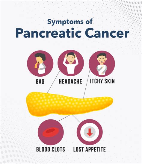 Pancreas: Function, Location, Diseases & Disorder