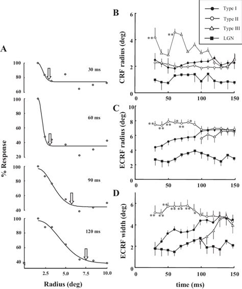 Temporal Changes Of Spatial Extents Of The CRF And ECRF A Temporal