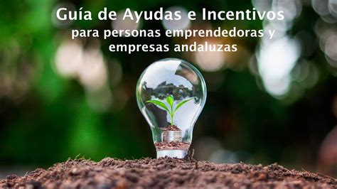 Guía De Ayudas E Incentivos Para Personas Emprendedoras Y Empresas Andaluzas 2023 11 Colegio