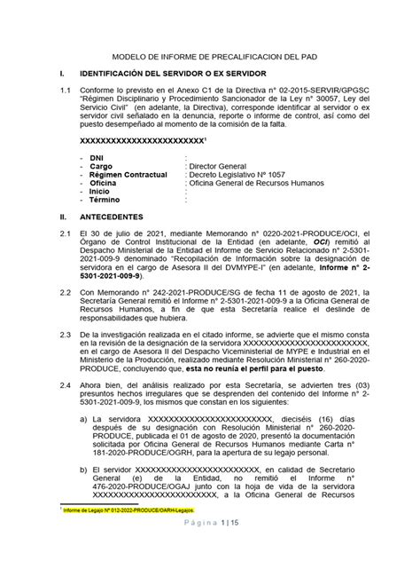 Informe De Precalificacion Del Pad Pdf