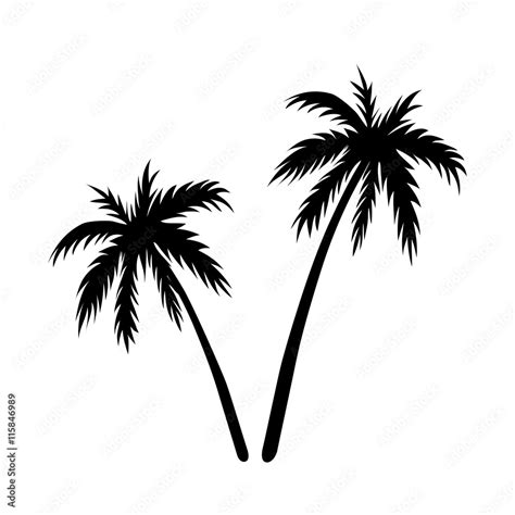 Two Palms Sketch Black Coconut Tree Silhouette Isolated On White