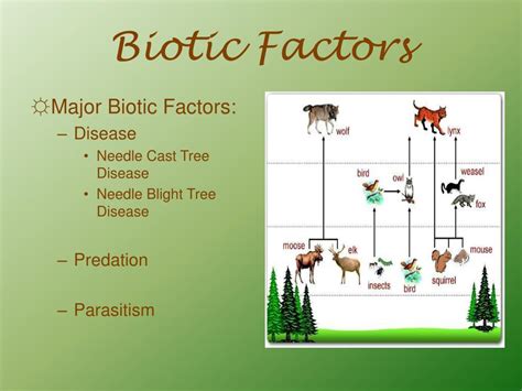 10 Biotic Factors