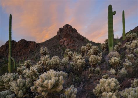 Desert Playground | David Thompson Photography