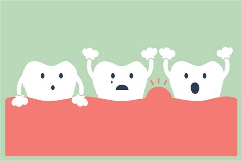 Human Teeth Stages Gum Disease Royalty Free Vector Image