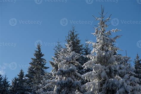 winter landscape in forest at sunset 10702571 Stock Photo at Vecteezy