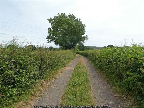 Track To Newclose Lane Roger Cornfoot Cc By Sa 2 0 Geograph