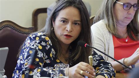 Diputada Joanna P Rez Insta A Revisar Estado De Excepci N La Macrozona