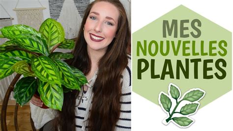 Haul Plantes Je Vous Pr Sente Les Petites Nouvelles La Vie En