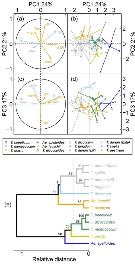 Principal Component Analysis Pca And Hierarchical Clustering On