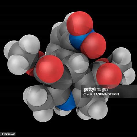 32 Nifedipine Stock Photos High Res Pictures And Images Getty Images