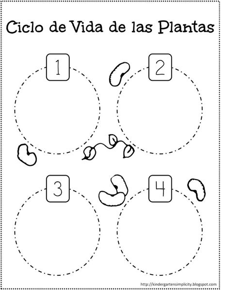 RECURSOS PARA EDUCACIÓN INFANTIL Actividades sobre el CICLO DE VIDA de