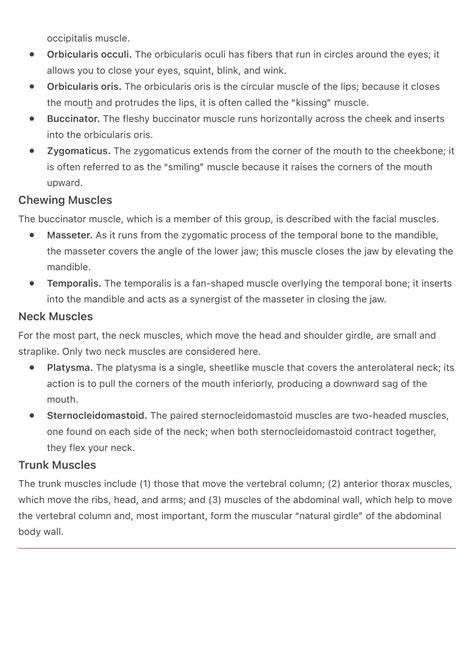 SOLUTION Gross Anatomy Of Skeletal Muscles Studypool