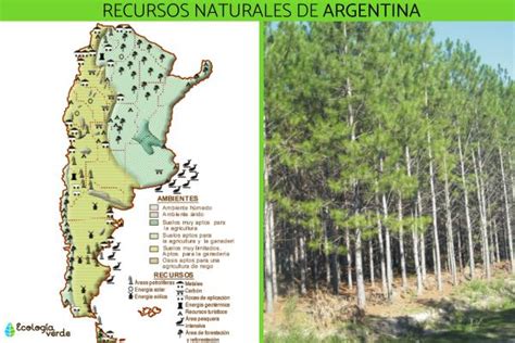 5 RECURSOS NATURALES En ARGENTINA Ejemplos Explicados