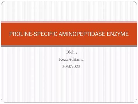 PPT - PROLINE-SPECIFIC AMINOPEPTIDASE ENZYME PowerPoint Presentation ...