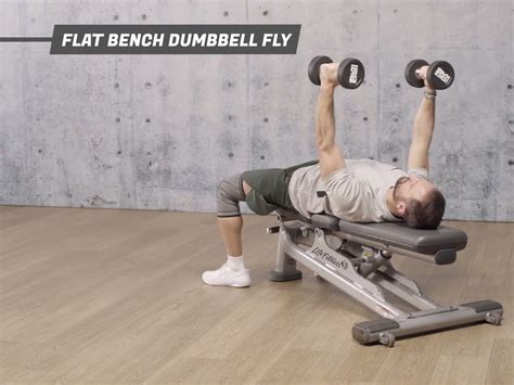 Göğüs Hareketi Flat Bench Dumbbell Fly MACFit