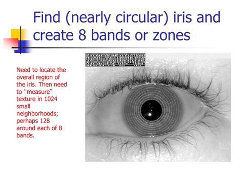 Ppt Iris Recognition Powerpoint Presentation Free Download Id7060422