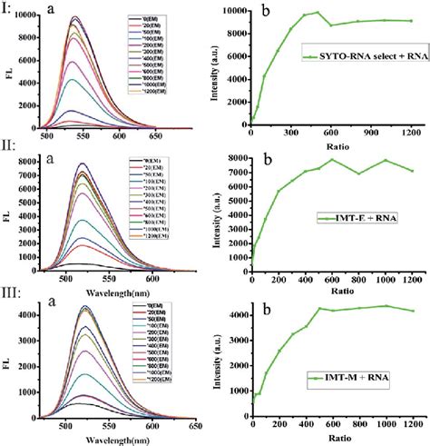 Fluorescence Titration Spectra Of Syto Rna Select Ib Imt E Iib And