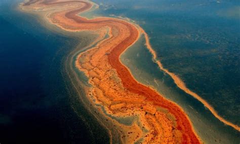 How Do Oil Spills Affect Marine Ecosystems