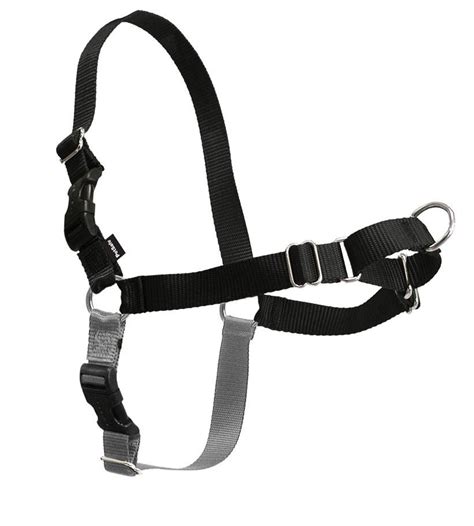 Easy Walk Harness - Black – Hollywood Feed