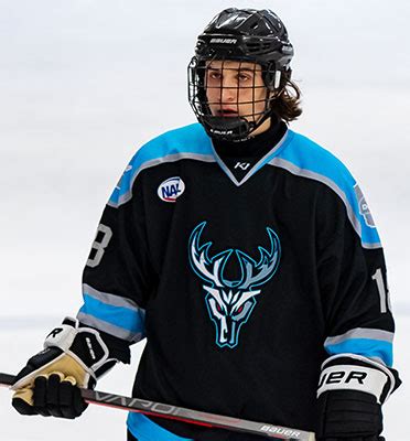 The Wisconsin Windigo Of The North American Hockey League Nahl Are