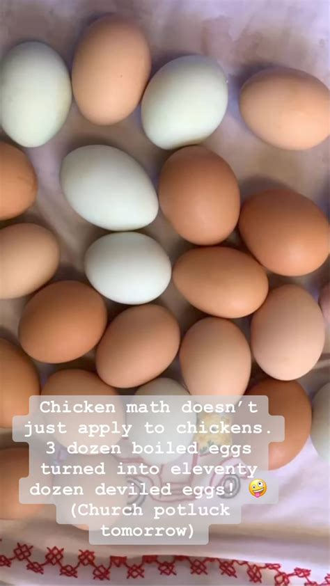 Berg Livestock Berglivestock • Instagram Photos And Videos