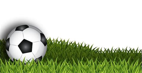 Premium Vector Soccer Ball On Green Grass Vector Illustration