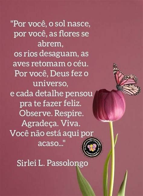 Pin De Inamar Pestana Em Pin Frases Interessantes Frases De Deus