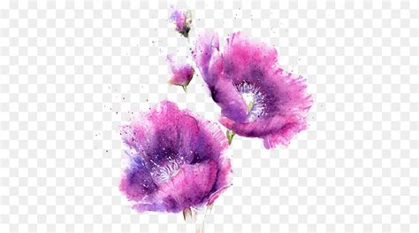 Violet Flower Watercolor at GetDrawings | Free download