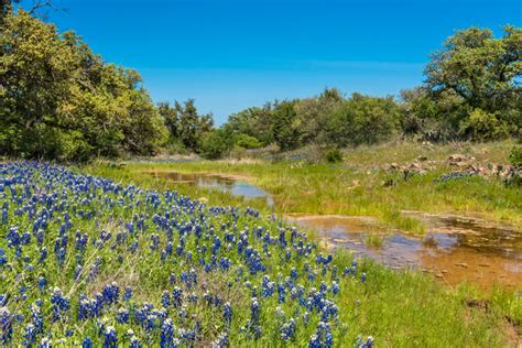 Helotes Texas Backroads Reservations