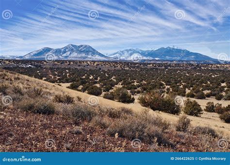 San Francisco Peaks Near Flagstaff Arizona From Antelope Hills Stock