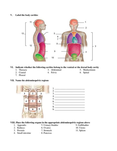 SOLUTION Anatomy Physiology Workbook Quiz Studypool