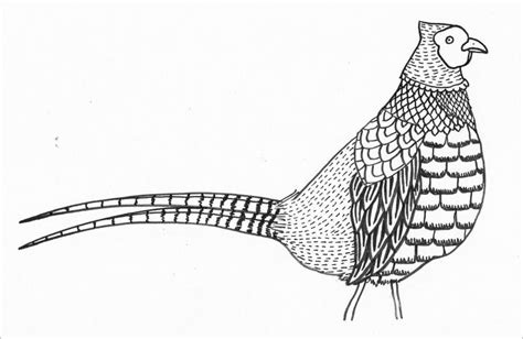 Printable Pheasants Coloring Page Coloringbay