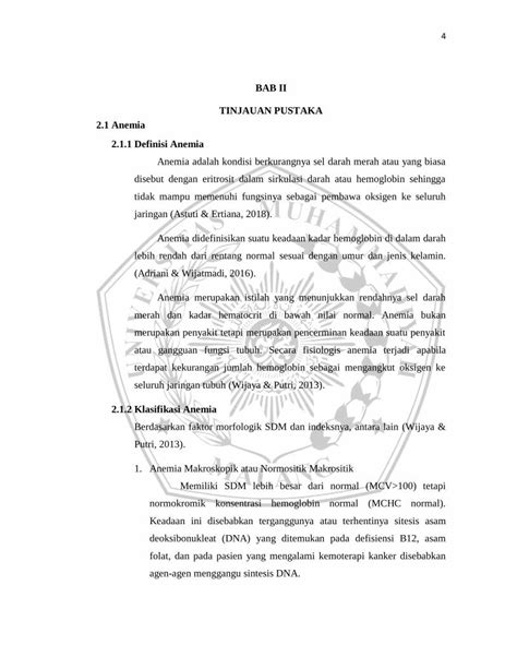 PDF BAB II TINJAUAN PUSTAKA 2 1 Anemia 2 1 1 Definisi Anemiaeprints